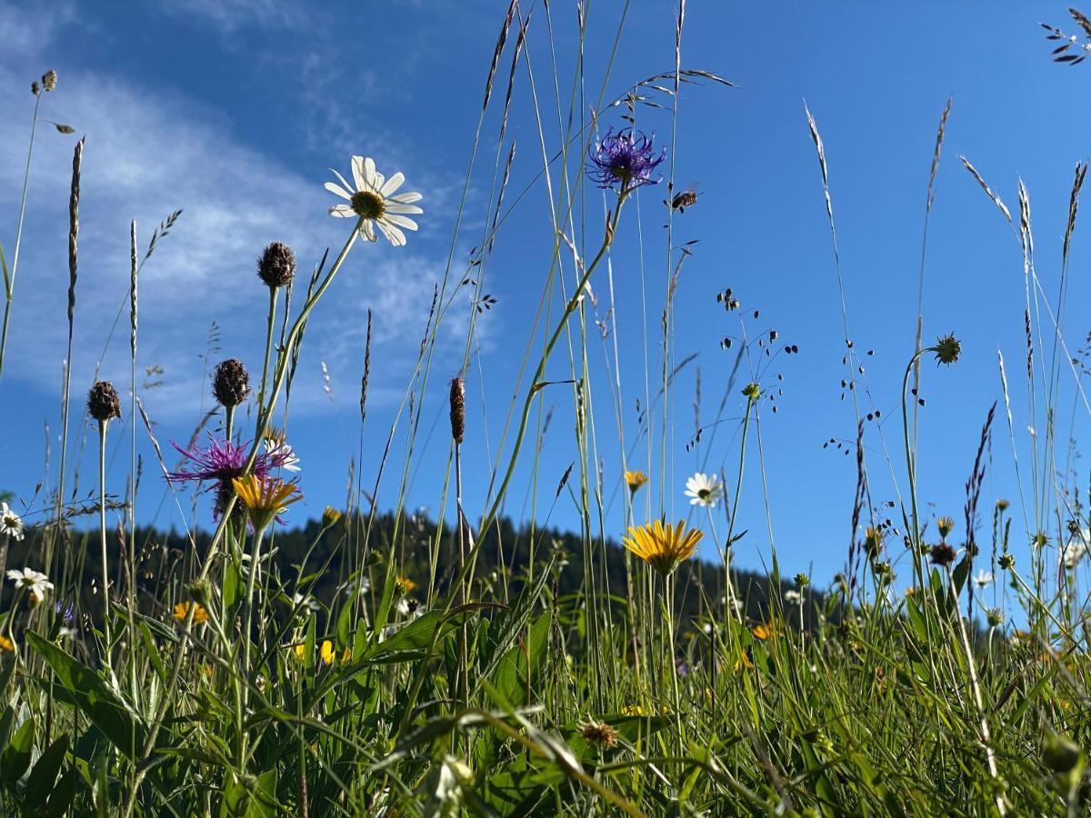 Готель Alpenhof Kruen Екстер'єр фото